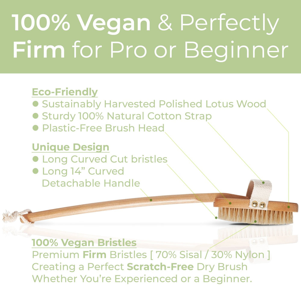 Body Brush