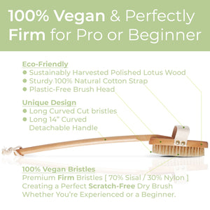 Body Brush