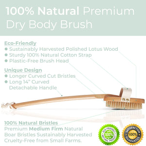 Premium Dry Body Brush with Natural Bristles to Rejuvenate Your Skin